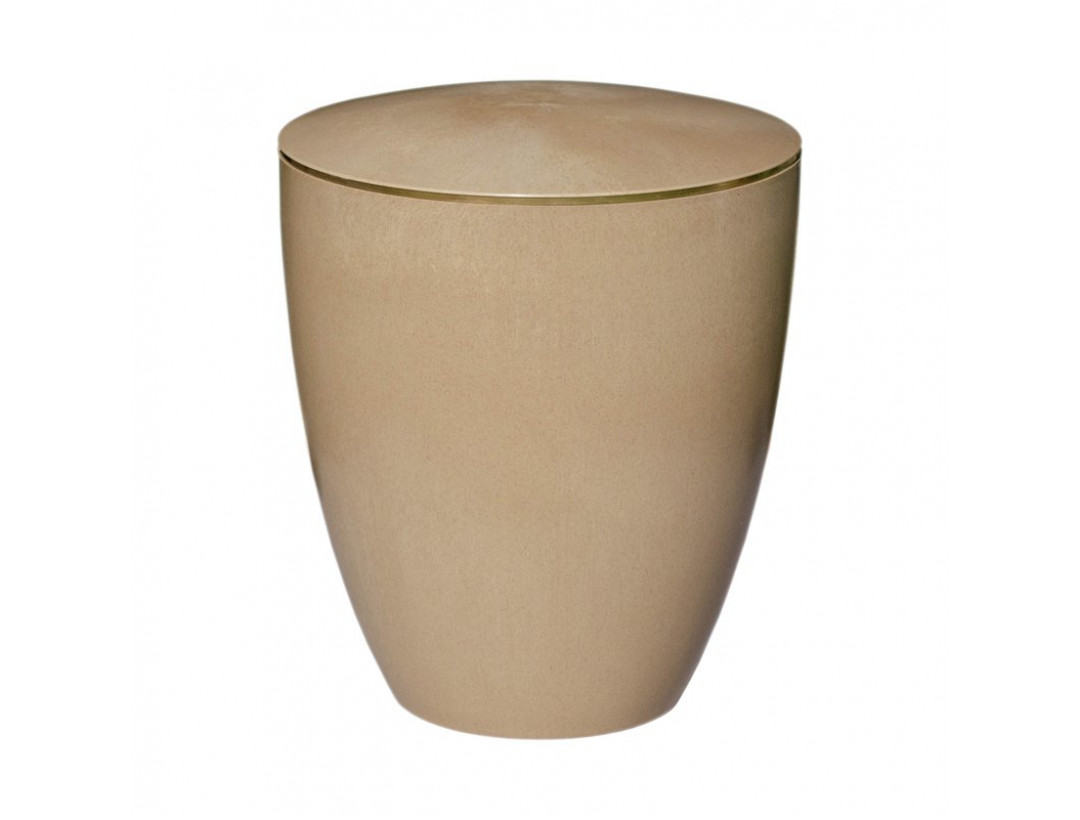 Haselnuss mit Dekorring Gold 3mm