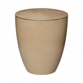 Haselnuss mit Dekorring Gold 3mm