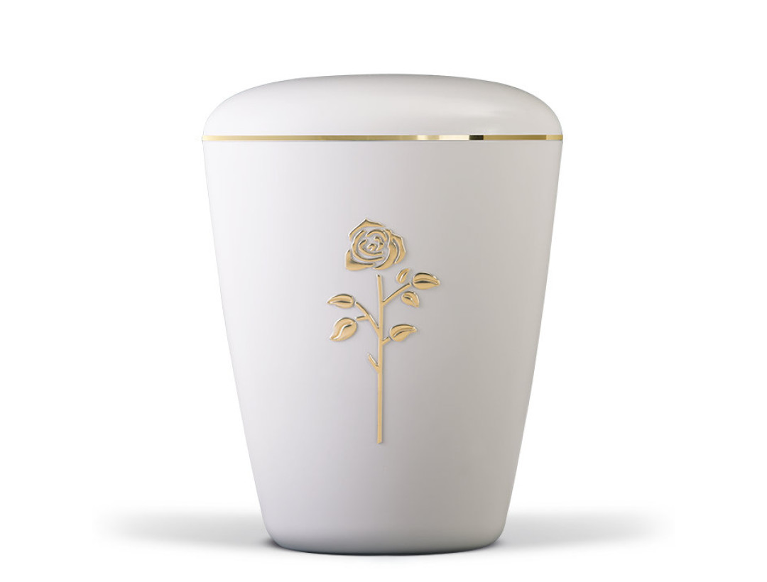 Naturstoffurne, Cremeweiß Rose Stripdome, Goldband