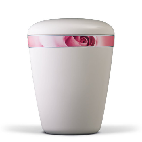 Naturstoffurne in cremeweiß mit einem dekorativen Band in Rosa, das eine Rosenblüte zeigt; Gesamtansicht der Urne mit abgerundeter Form.