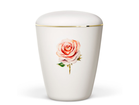 Naturstoffurne, Weiß-Matt, Rose, Goldband