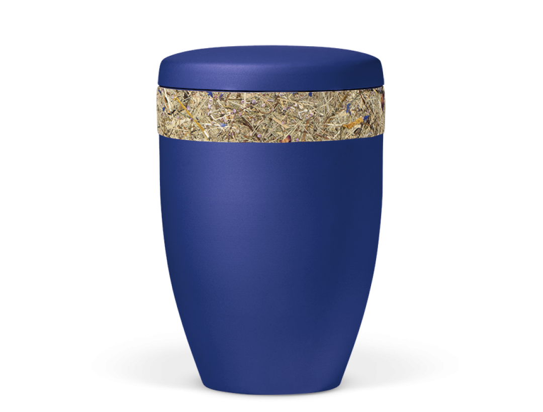 Saphirblau Velour, Almwiesnbunten mit bunten Blüten