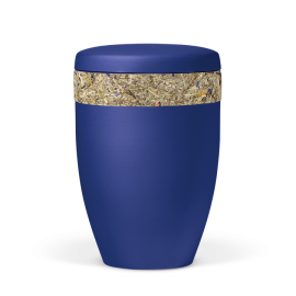 Saphirblau Velour, Almwiesnbunten mit bunten Blüten