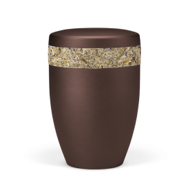 Kastanienbraun-Matt, Almwiesnbunten mit bunten Blüten