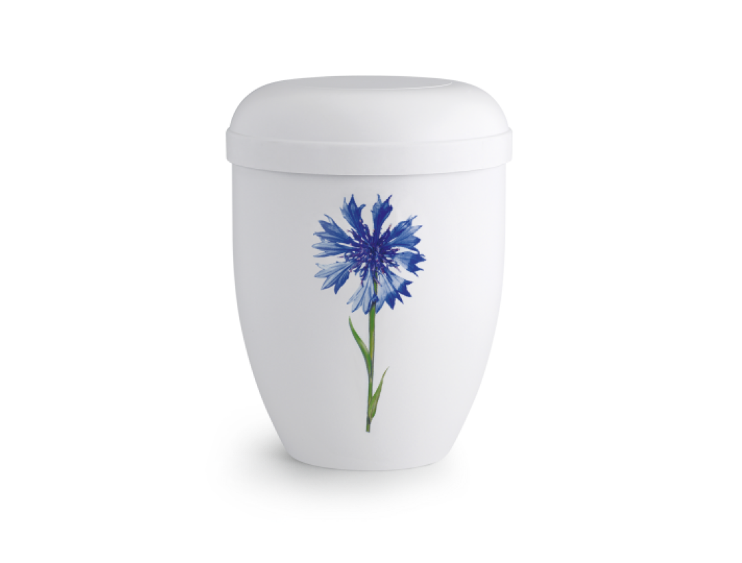 Edition Classic, weiß, Kornblume, biol. abbaub. Edition Classic, weiß, Kornblume, biol. abbaub.