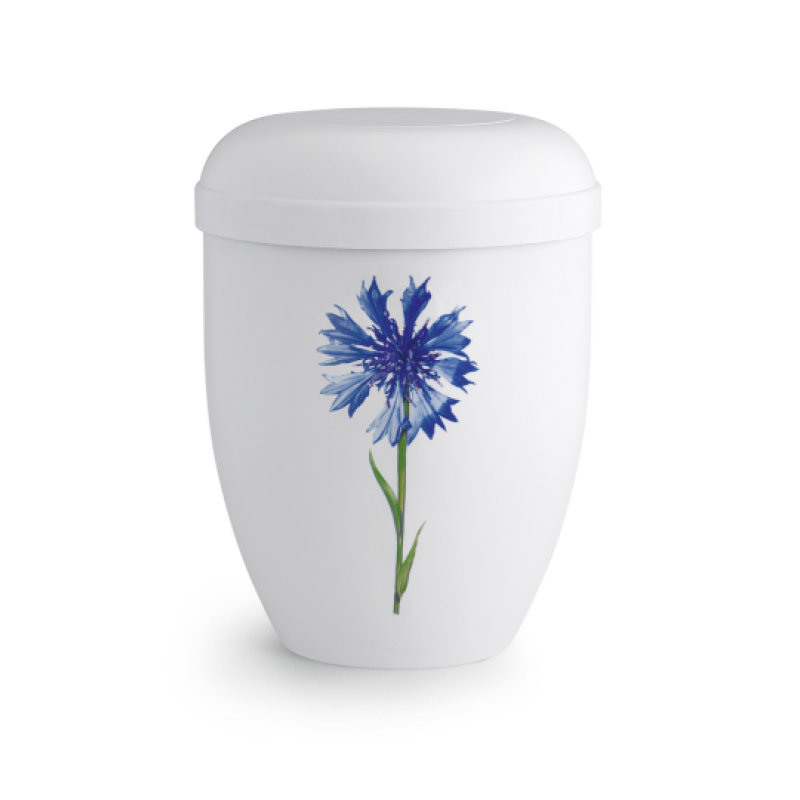 Die weiße Urne aus biologisch abbaubarem Material hat eine ovale Form und zeigt eine blaue Kornblume auf der Vorderseite.