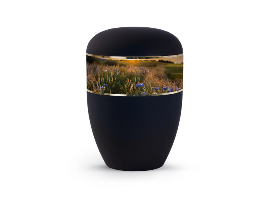 Edition Memorius, Samtton Tiefschwarz, Kornblumen, biol. abbaub.