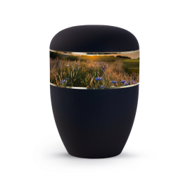 Edition Memorius, Samtton Tiefschwarz, Kornblumen, biol. abbaub.