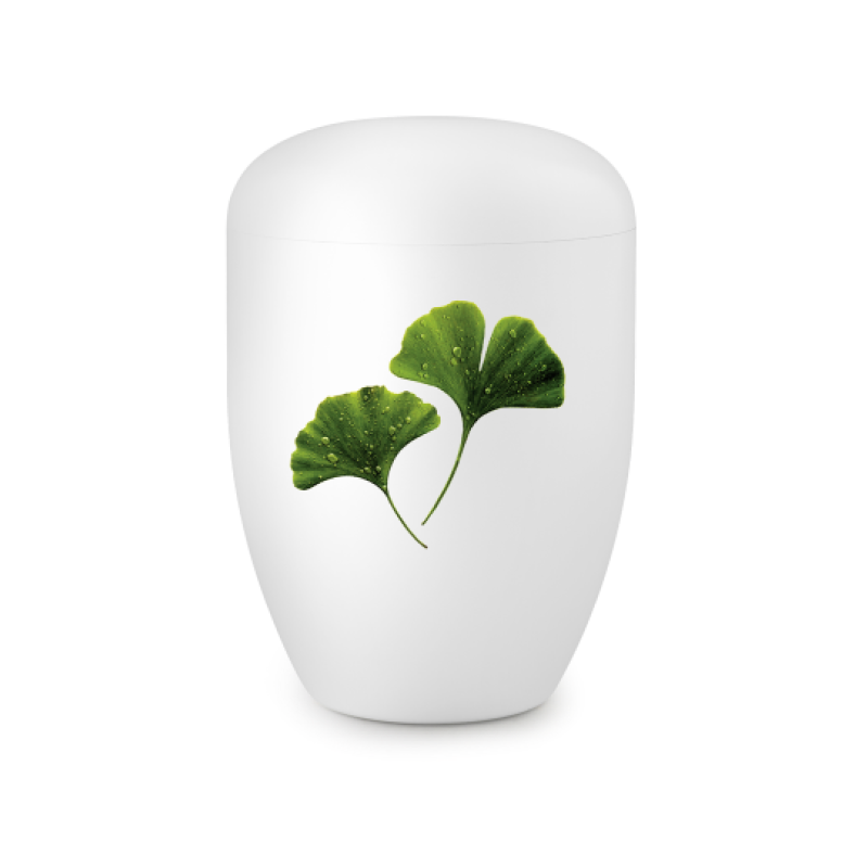 Eine weiße, satinierte Urne mit zwei grünen Ginkgo-Blättern, die mit Wassertropfen verziert sind, in einer Gesamtansicht.