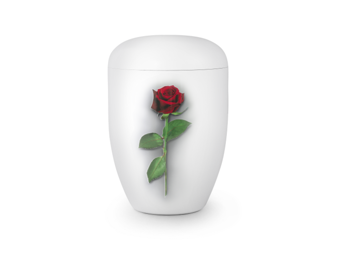 Edition Fleur, Klavierlack weiß, Rose, biol. abbaub.