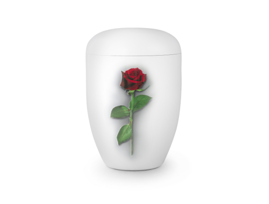 Edition Fleur, Klavierlack weiß, Rose, biol. abbaub.