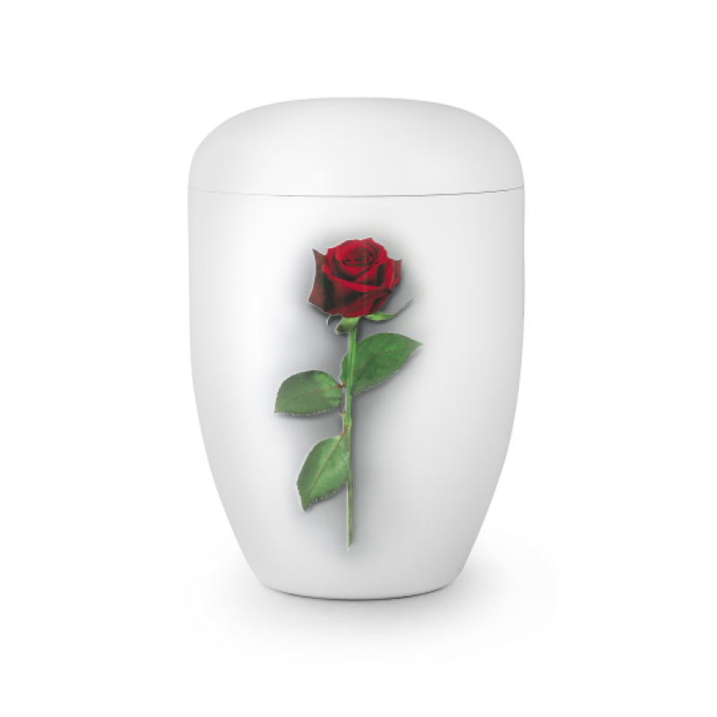 Edition Fleur, Klavierlack weiß, Rose, biol. abbaub.