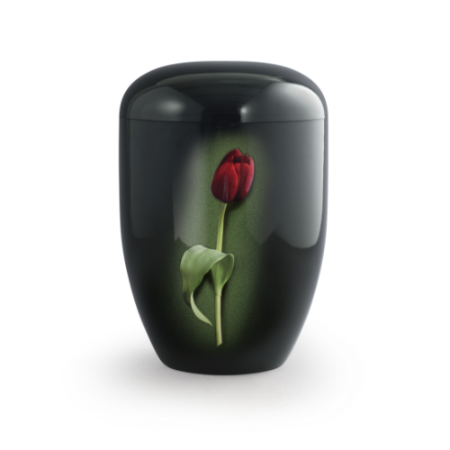 Die Urne aus der Edition Fleur ist schwarz mit Klavierlack-Oberfläche und zeigt eine rote Tulpe auf grünem Hintergrund, sie ist biologisch abbaubar.