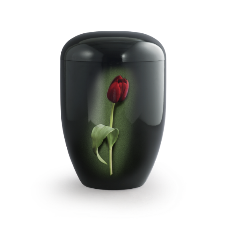 Die Urne aus der Edition Fleur ist schwarz mit Klavierlack-Oberfläche und zeigt eine rote Tulpe auf grünem Hintergrund, sie ist biologisch abbaubar.