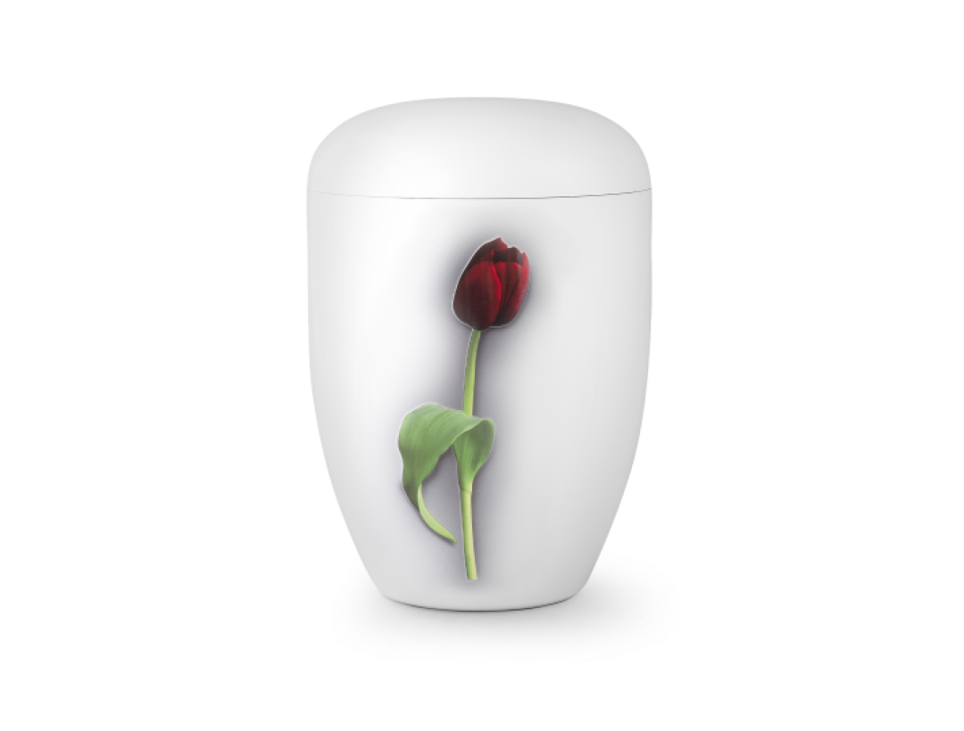 Edition Fleur, Klavierlack weiß, Tulpe, biol. abbaub.