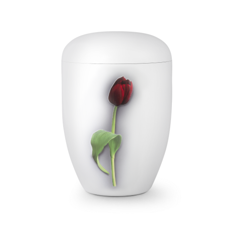 Eine weiße Urne aus Klavierlack mit einer roten Tulpe und einem grünen Blatt als Dekor, in Gesamtansicht.