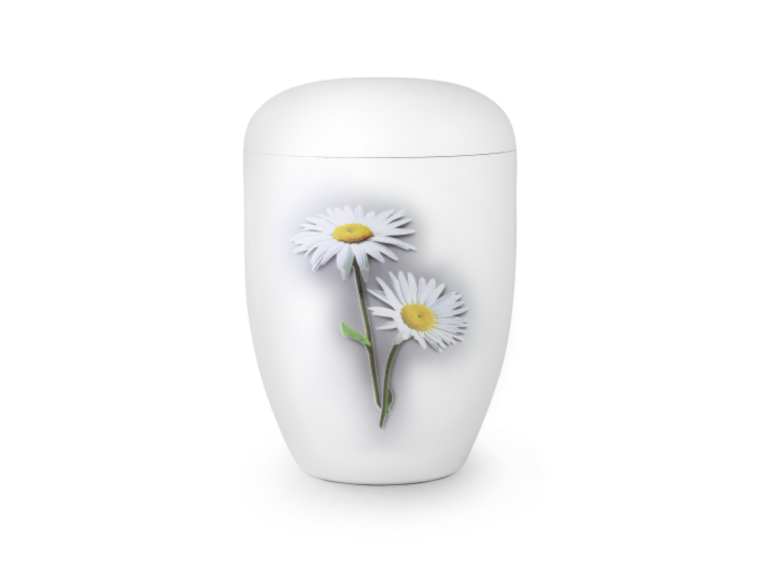 Edition Fleur, Klavierlack weiß, Margerite, biol. abbaub.