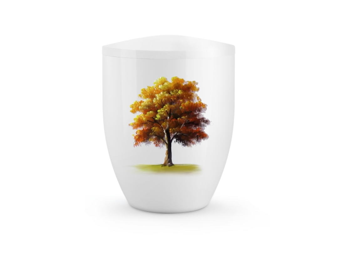 Edition Silva, Hochglanz weiß, Ahornbaum Herbst, biol. abbaub. Edition Silva, Hochglanz weiß, Ahornbaum Herbst, biol. abbaub.
