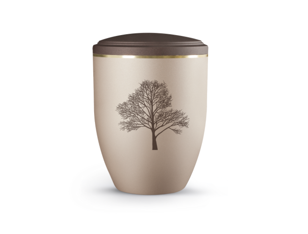 Edition La Vida, champagner/Siena, Baum, biol. abbaub. Edition La Vida, champagner/Siena, Baum, biol. abbaub.