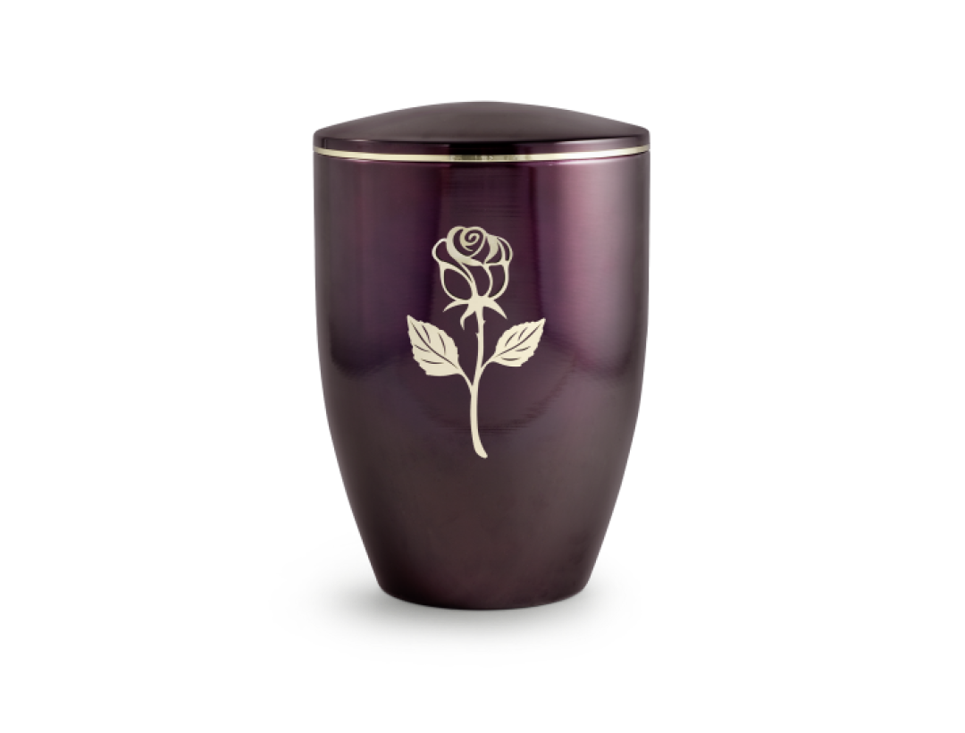 Edition Melina, aubergine lasiert, Stielrose, Cestal