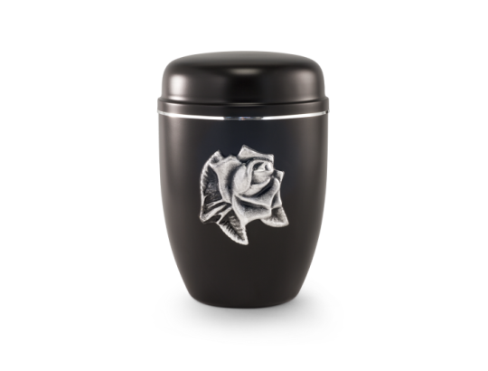 Cestal, schwarz, Silberstreifen, Rosenblüte