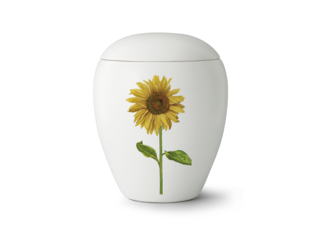 Edition Bianco, weiß, Sonnenblume, Keramik Edition Bianco, weiß, Sonnenblume, Keramik