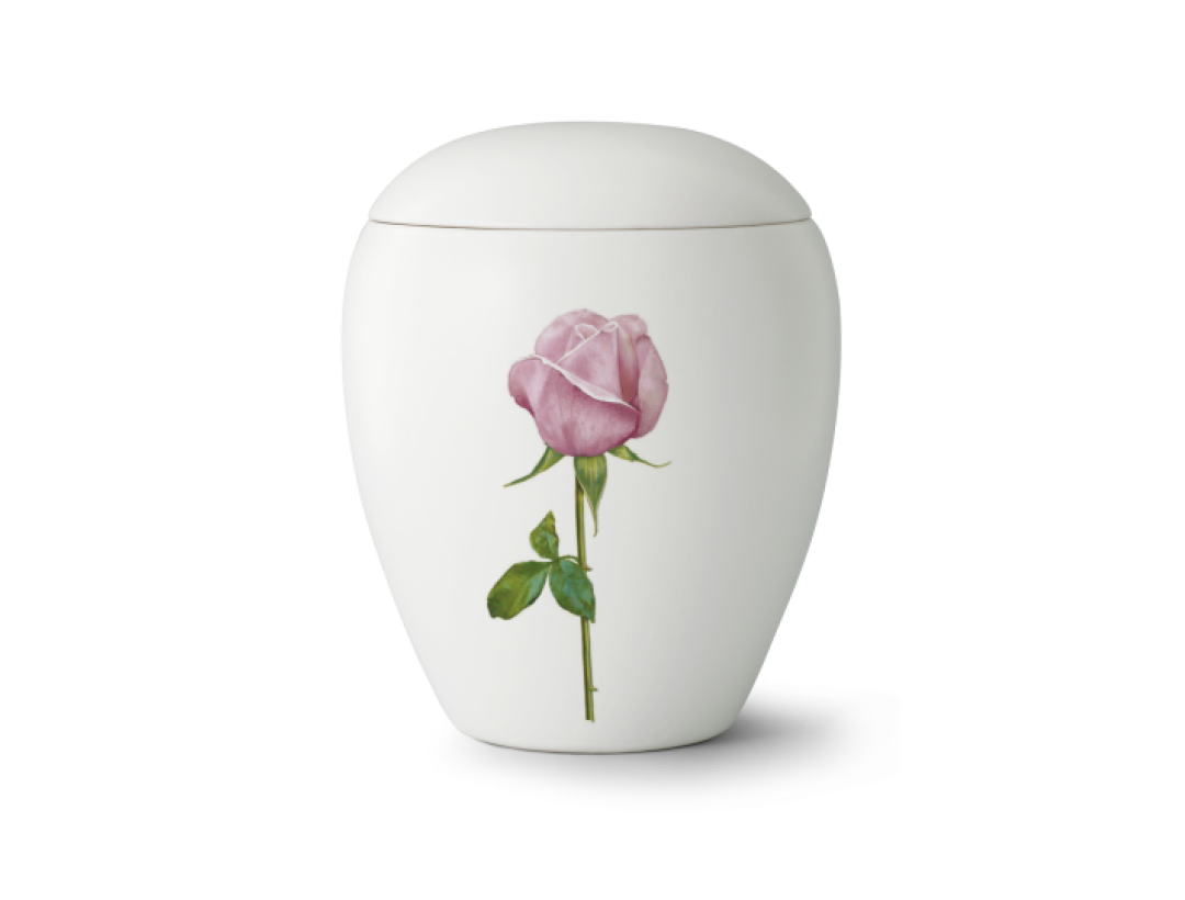 Edition Bianco, weiß, Rose, Keramik