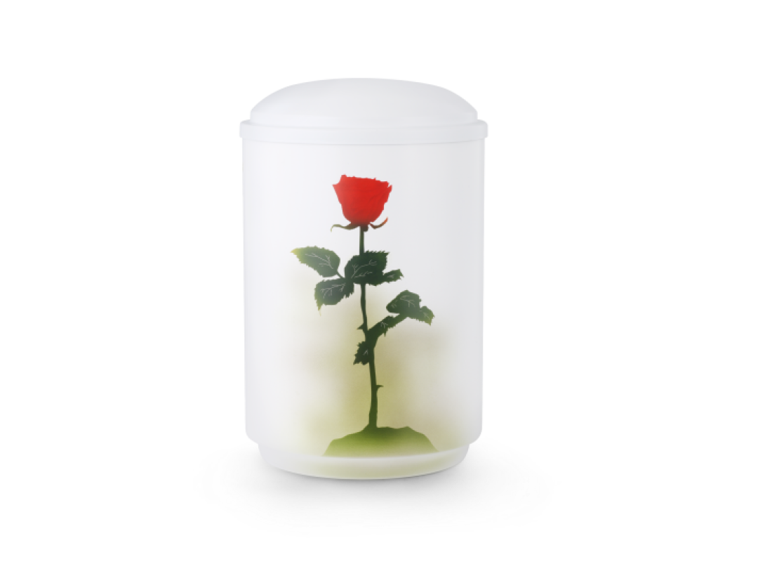 Rosa handbemalt aus der Künstleredition Poesie Rosa handbemalt aus der Künstleredition Poesie