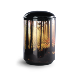 Edition Landscape, Waldlichtung, Cestal