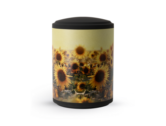 Edition Ventura, Samton schwarz, Band aus Pflanzenfasern, Sonnenblumen