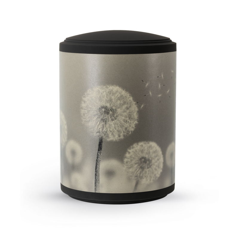 Urne aus Samton in Schwarz mit Pusteblumen-Motiv, zylindrische Form, matte Oberfläche und schwarzem Deckel, Gesamtansicht.