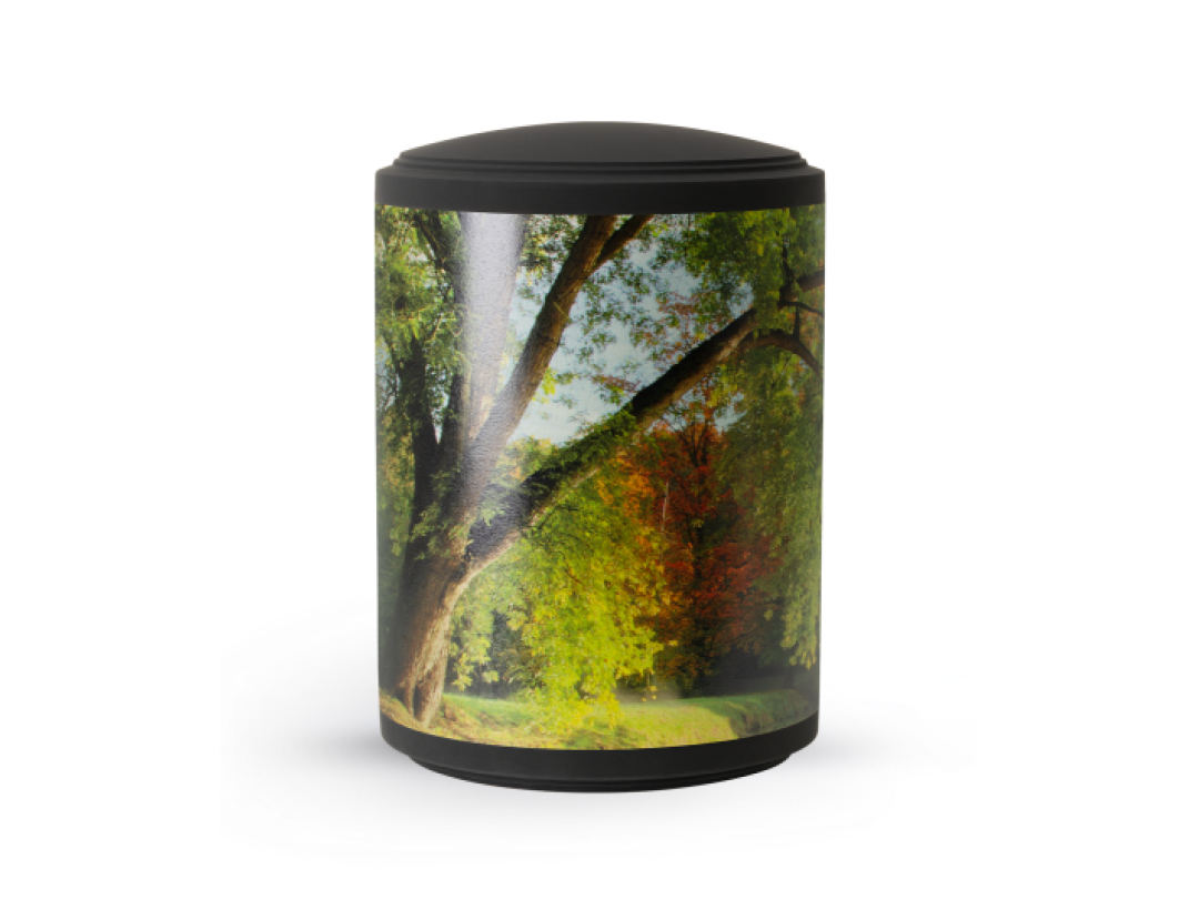 Edition Ventura, Samton schwarz, Band aus Pflanzenfasern, Baum Edition Ventura, Samton schwarz, Band aus Pflanzenfasern, Baum