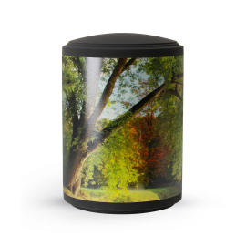 Edition Ventura, Samton schwarz, Band aus Pflanzenfasern, Baum