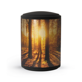 Edition Ventura, Samton schwarz, Band aus Pflanzenfasern, Wald Edition Ventura, Samton schwarz, Band aus Pflanzenfasern, Wald