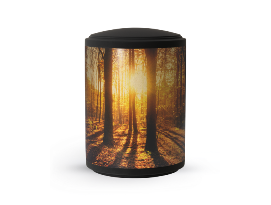 Edition Ventura, Samton schwarz, Band aus Pflanzenfasern, Wald
