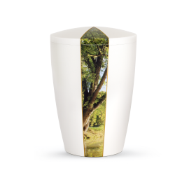 Edition Natura, perlmutt, Baum, biol. abbaub. Edition Natura, perlmutt, Baum, biol. abbaub.