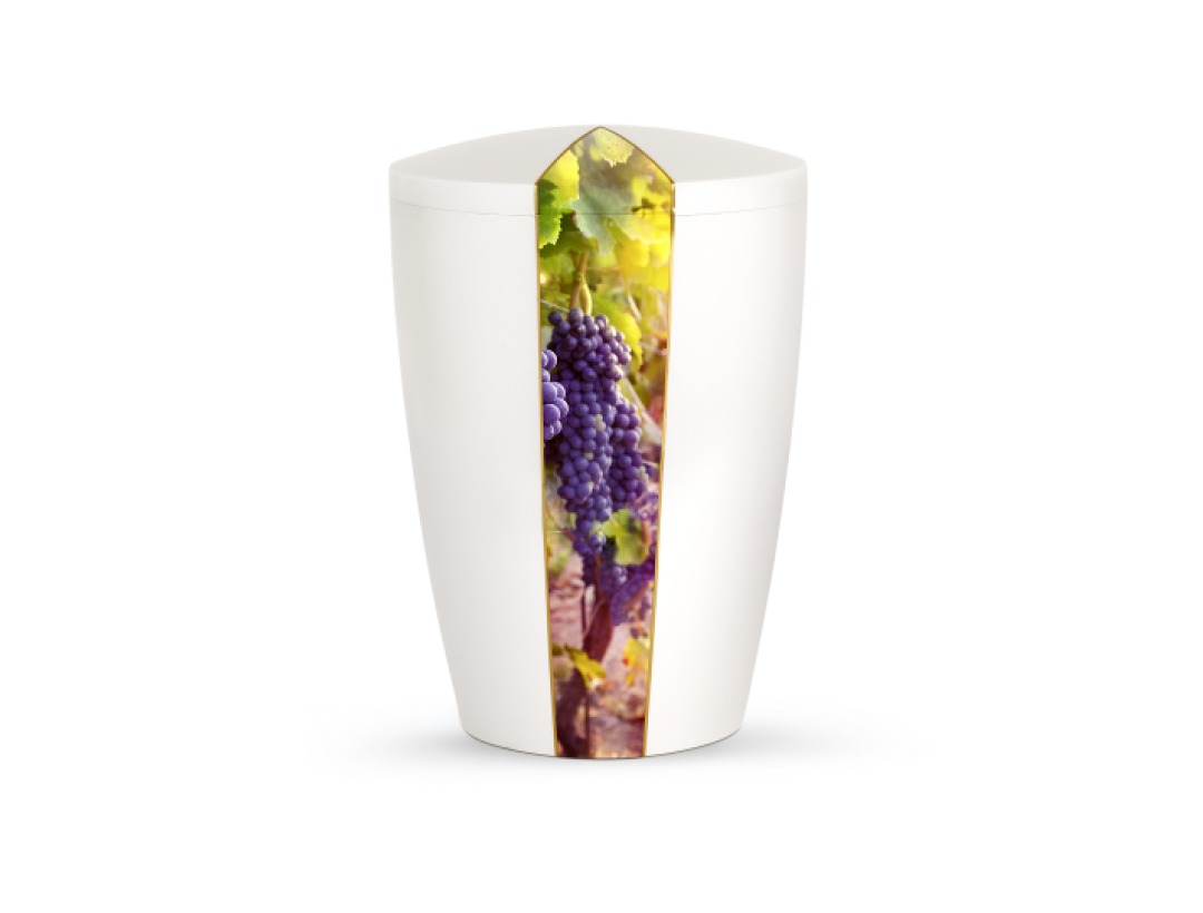 Edition Natura, perlmutt, Weinrebe, biol. abbaub. Edition Natura, perlmutt, Weinrebe, biol. abbaub.