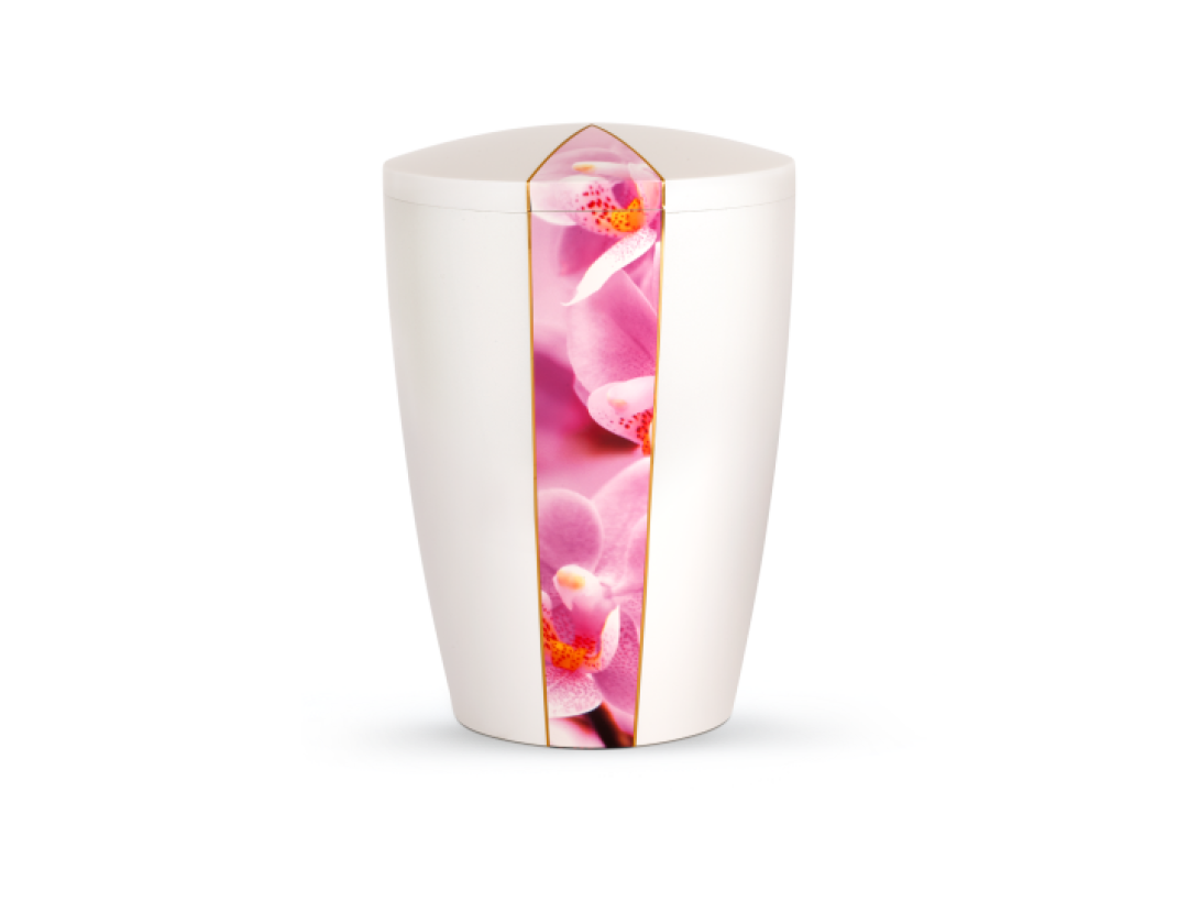 Edition Natura, perlmutt, Orchidee, biol. abbaub. Edition Natura, perlmutt, Orchidee, biol. abbaub.