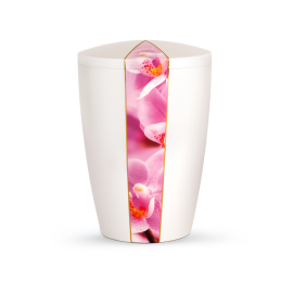 Edition Natura, perlmutt, Orchidee, biol. abbaub. Edition Natura, perlmutt, Orchidee, biol. abbaub.