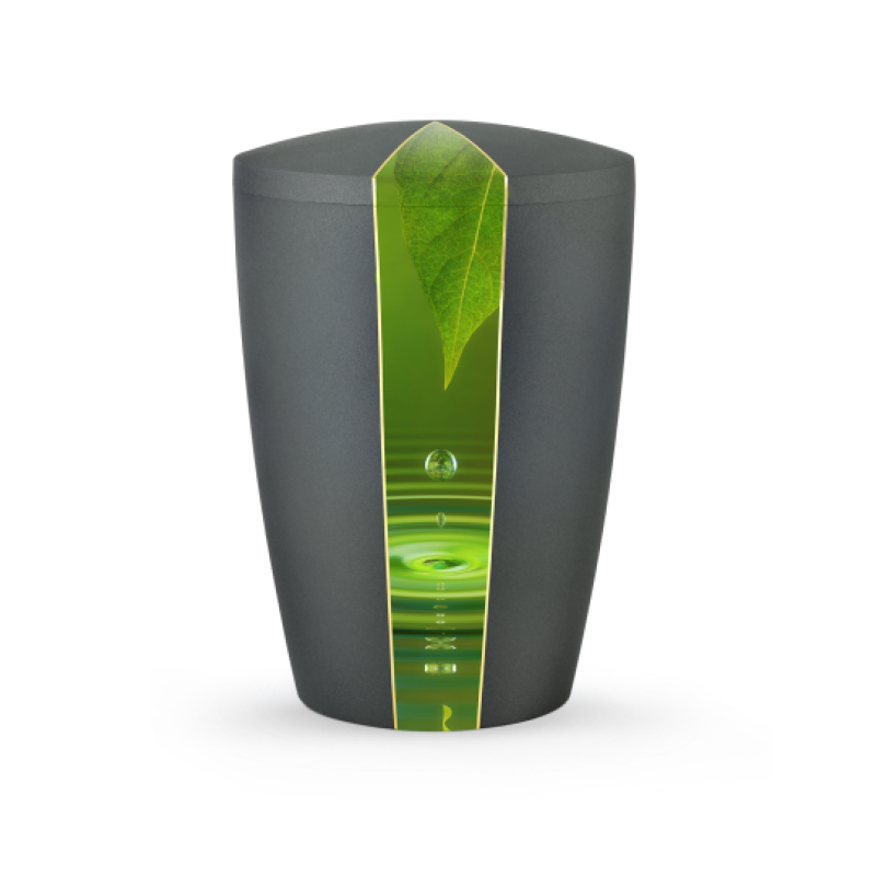 Die Urne aus der Edition Natura ist anthrazitfarben, hat eine ovale Form und zeigt ein grünes Blattmotiv mit Wassertropfen auf der Frontseite.
