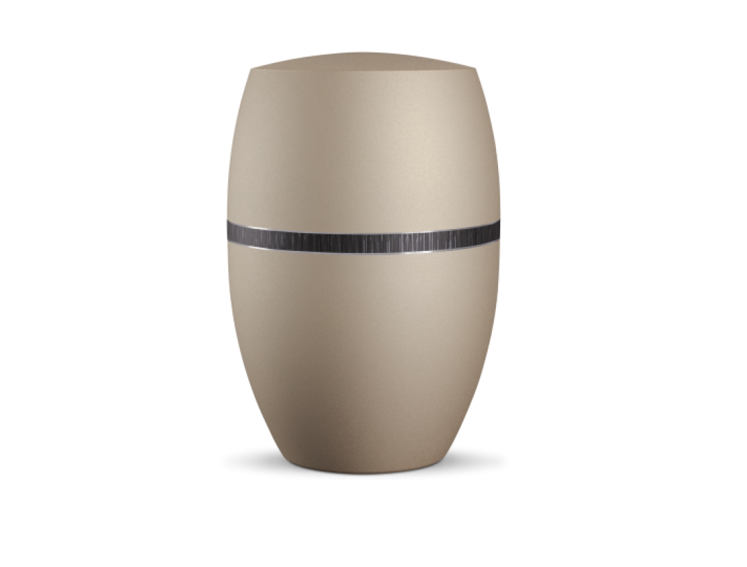 Infinity Veta, velvet Champagner, schwarz gebürstetes Dekor