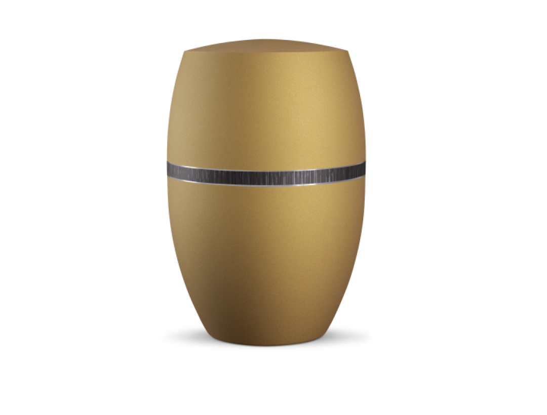 Infinity Veta, velvet Goldocker, schwarz gebürstetes Dekor