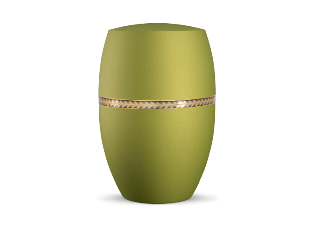 Infinity Livorno, velvet Peridot, gebürstetes Golddekor Zweig Infinity Livorno, velvet Peridot, gebürstetes Golddekor Zweig