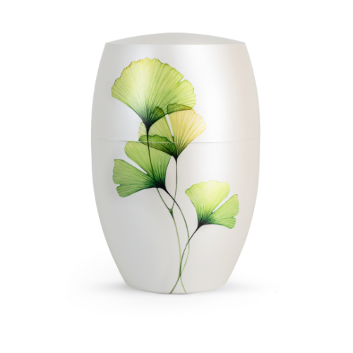 Edition Florique, Perlmutt-Mattweiß, Ginkgo