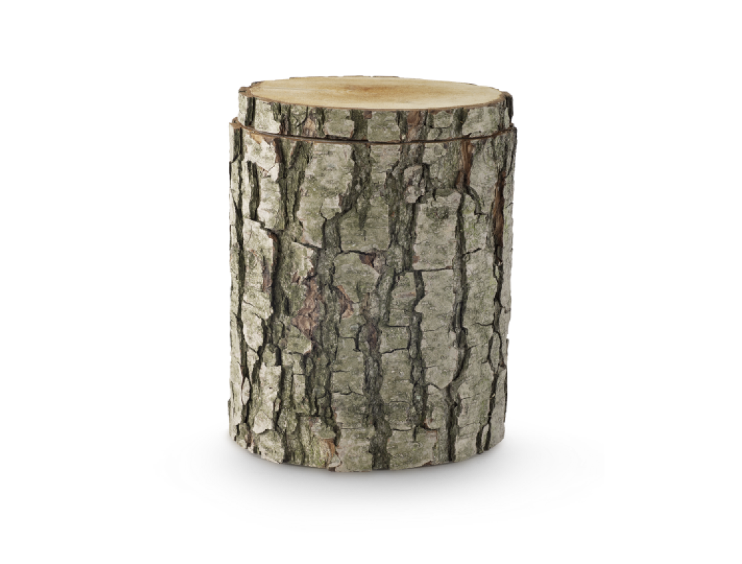 Edition Baumurne, Schwarzerle, Säckchen mit Erlensamen Edition Baumurne, Schwarzerle, Säckchen mit Erlensamen