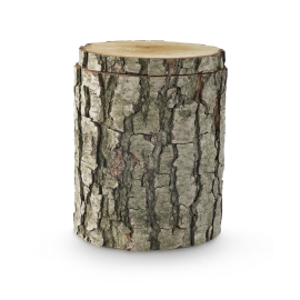 Edition Baumurne, Schwarzerle, Säckchen mit Erlensamen Edition Baumurne, Schwarzerle, Säckchen mit Erlensamen