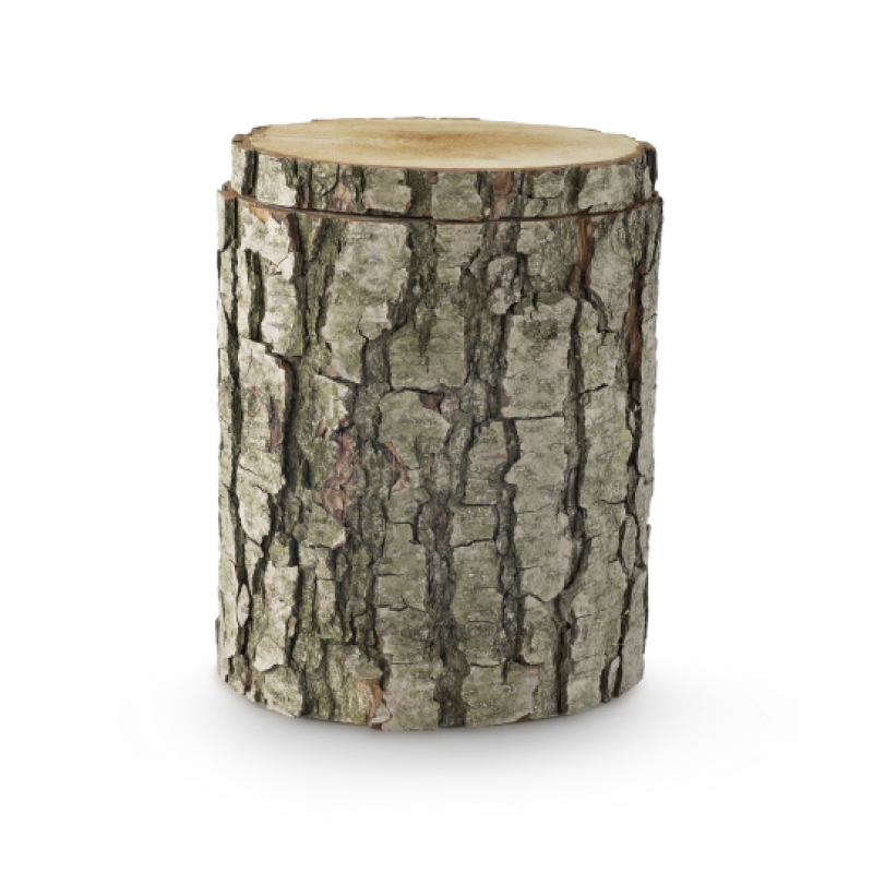 Die Edition Baumurne aus Schwarzerle hat eine zylindrische Form mit einer naturbelassenen Rinde und einem flachen Deckel, der die Holzmaserung zeigt.