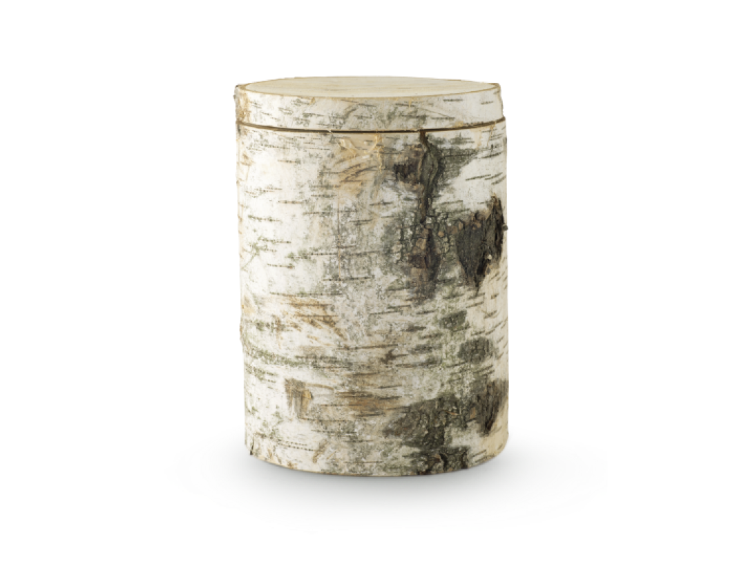 Edition Baumurne, Moorbirke, Säckchen mit Birkensamen Edition Baumurne, Moorbirke, Säckchen mit Birkensamen