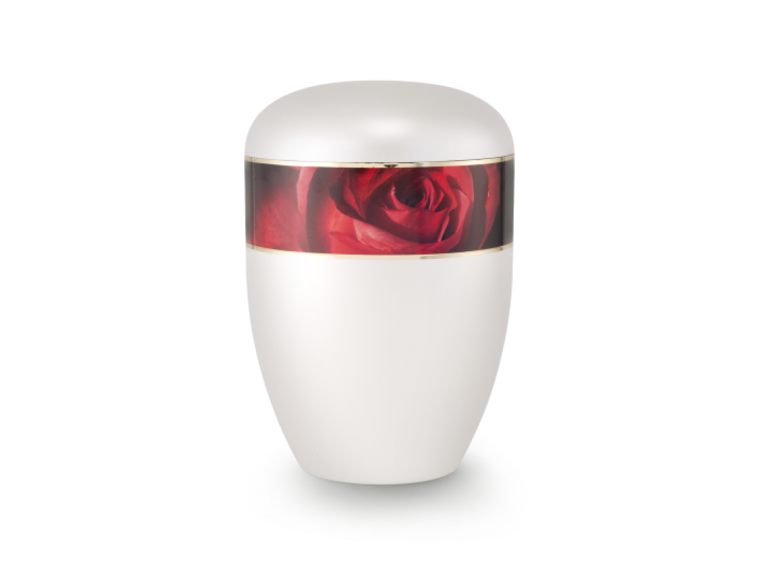 Edition Antiqua, perlmutt, Motiv Rose, biol. abbaub. Edition Antiqua, perlmutt, Motiv Rose, biol. abbaub.