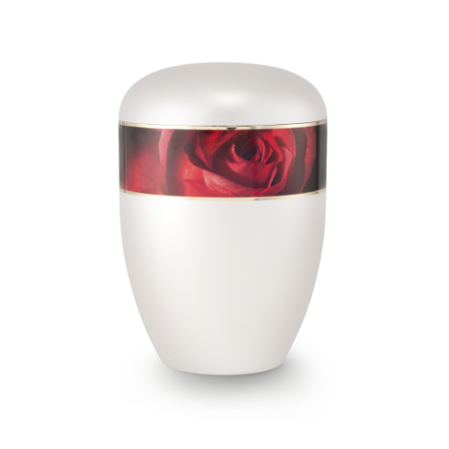 Die Urne aus der Edition Antiqua ist perlmuttfarben, hat eine runde Form und zeigt ein rotes Rosenmotiv mit goldener Umrandung auf der oberen Hälfte.